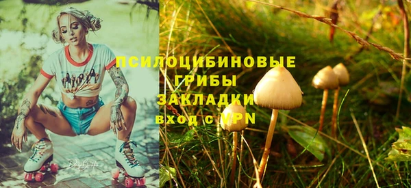 соль курить ск Бородино