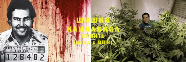 соль ск Бронницы