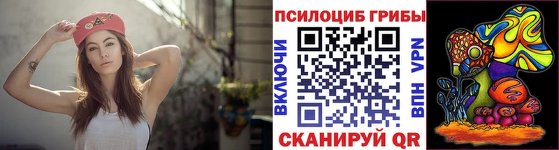 Купить  Строитель  Галлюциногенные грибы MAGIC MUSHROOMS 